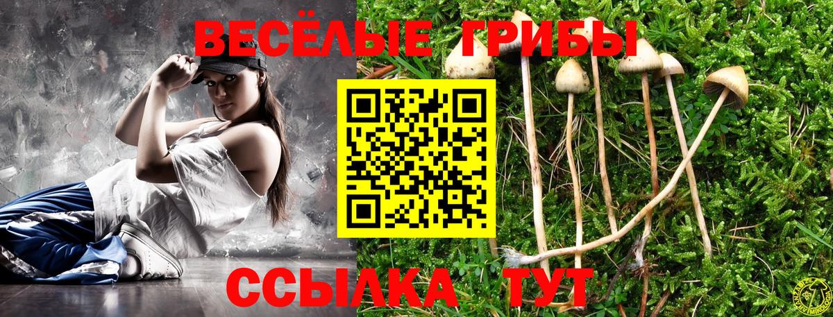 Псилоцибиновые грибы Magic Shrooms  Галлюциногенные грибы ЛСД  купить наркоту  Вход с VPN  Отрадный 
